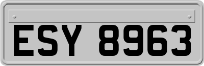 ESY8963