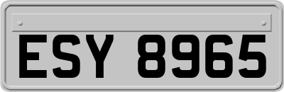 ESY8965