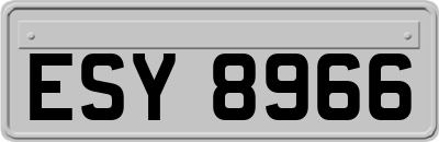 ESY8966
