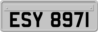 ESY8971