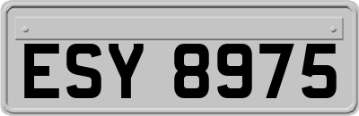 ESY8975