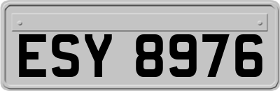 ESY8976