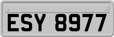 ESY8977