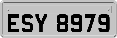 ESY8979