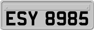 ESY8985