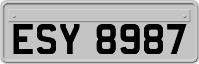 ESY8987