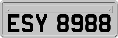 ESY8988