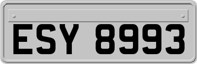 ESY8993