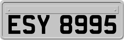 ESY8995