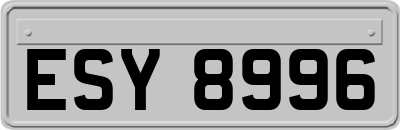 ESY8996