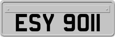 ESY9011
