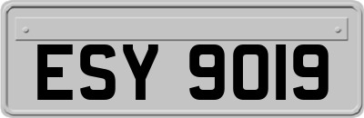 ESY9019