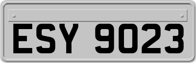 ESY9023