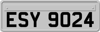 ESY9024