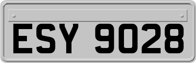 ESY9028