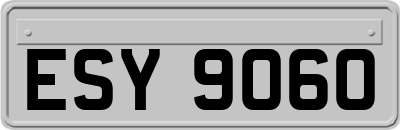 ESY9060