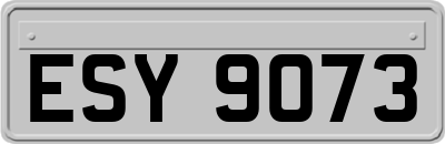 ESY9073