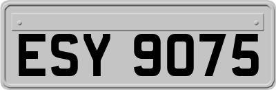 ESY9075
