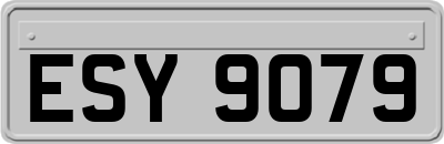 ESY9079