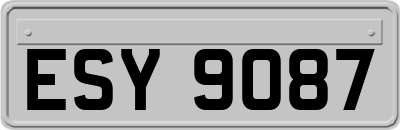ESY9087