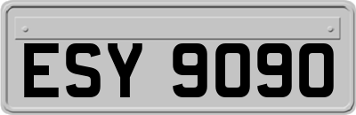 ESY9090