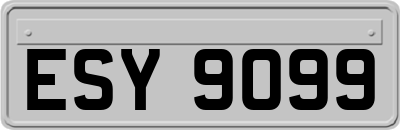 ESY9099