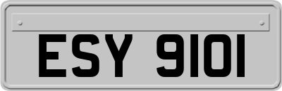 ESY9101