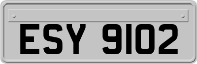 ESY9102