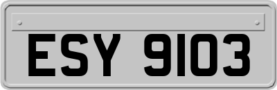 ESY9103