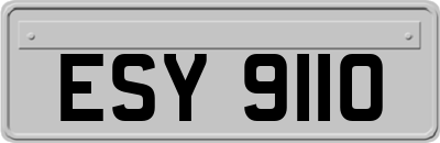 ESY9110