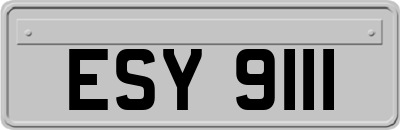 ESY9111