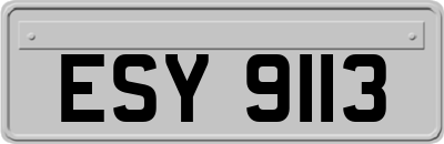 ESY9113