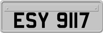ESY9117