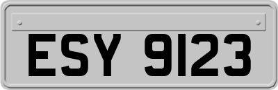 ESY9123