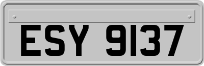 ESY9137