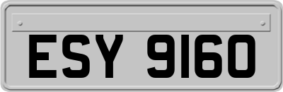 ESY9160