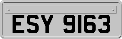ESY9163