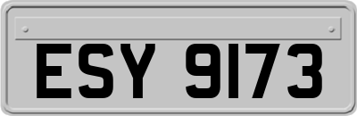 ESY9173