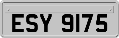ESY9175