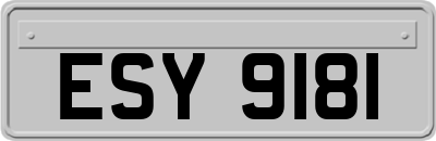 ESY9181