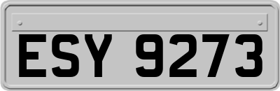 ESY9273