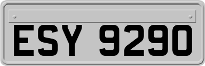 ESY9290