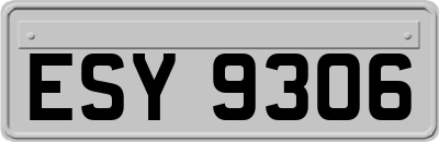 ESY9306