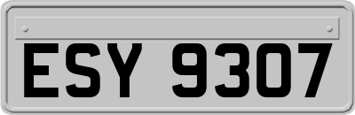 ESY9307