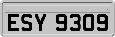 ESY9309
