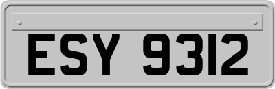 ESY9312