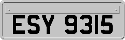 ESY9315