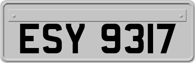 ESY9317