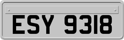 ESY9318