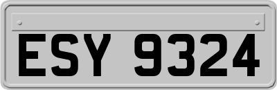 ESY9324